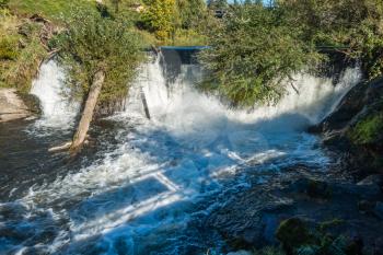 Closeup shot of a secton of Tumwater Falls with busher hanging over the water.