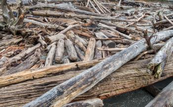 A closeup shot of a pile of driftwood in the Pacific Northwest.