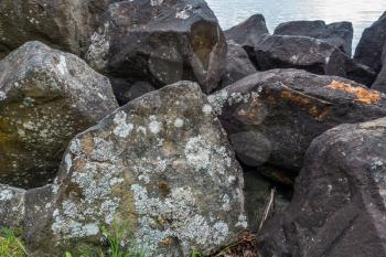 Lichen covers huge boulders at Saltwater State Park in Des Moines, Washington.