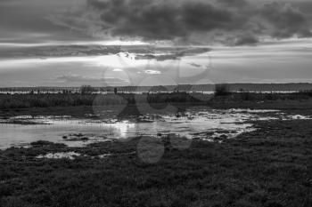 A Puget Sound sunset in reflected on a small pond. Black and white image.