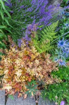 A macro shot of plants and blossoms at a garden in Tacoma, Washington.