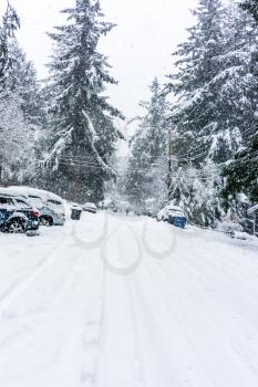 Snow is very deep as the storm reaches its peak.  Location is Burien, Washington.
