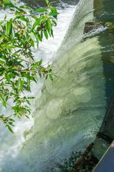 A close-up shot of flowing water in Tumwater, Washington.