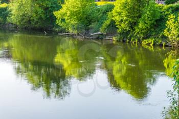 Trees are reflected in the Green River in Tukwila, Washington.