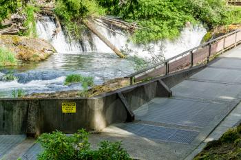 A view of a walkway at Tumwater Falls.