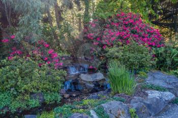 A view of a garden stream with flowers.