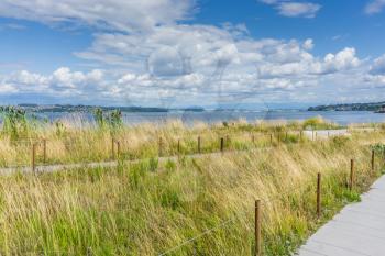 A view of the shoreline at Dune Peninsula Park with the Port of Tacoma in the distance.