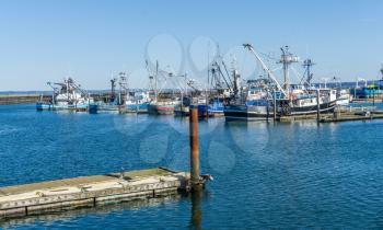 Fishing boast are moored in Westport, Washington.
