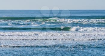 Waves suitable for surfing roll in at Westport, Washington.