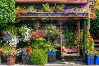 Flowers bloom in pots in front of a house.