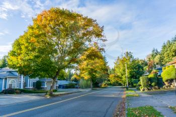A view of a street in Burien, Washington in the autumn.