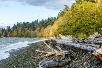 An autumn view of the shoreline at Lincoln Park in West Seattle, Washington.