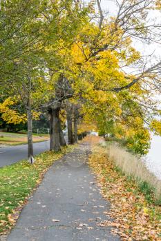 Autumn trees line Lake Washington Boulevard in Seattle.