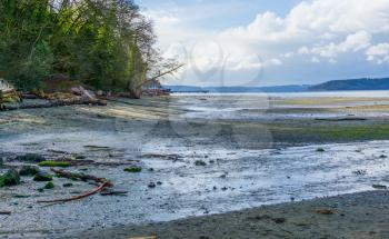 A view of the shoreline at low tide at Dash Point State Park in Washington State.
