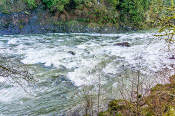 A rocks juts up in the middle of rapids on the Snoqualmie River.