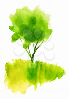 Green watercolor tree in the field. A symbol of ecology, freshness, naturalness and organic. Suitable for ecological postcards, decorations, logo, prints for packaging, T-shirts, handmade bags, tags