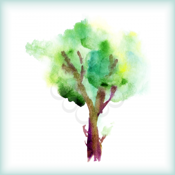 watercolor green tree on a white background for your design