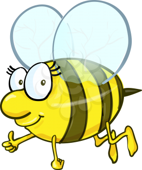 Bee cartoon isolated on white background with thumbs up