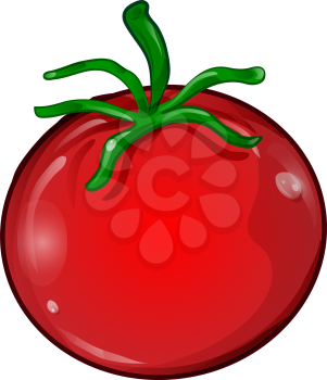 tomato cartoon isolated on white background