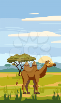 Camel cute cartoon style in background savannah Africa, isolated
