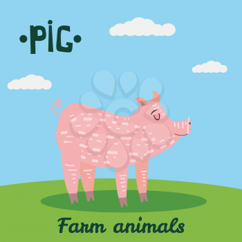 Cute Pig farm animal character, farm animals, vector illustration on field background
