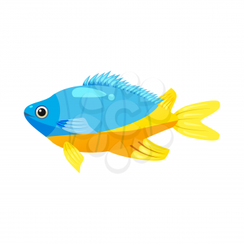 Tropical exotic Emperor angel fish, bright colorful coloring