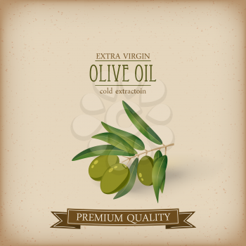 Olive oil label pattern, vector isolated