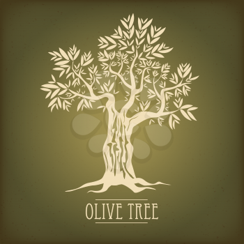 Olive tree on vintage paper. Olive oil. Vector olive tree.