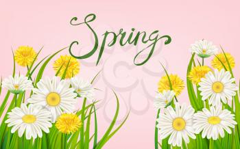 Spring banner. Hand drawn lettering. Background with chamomile, daisy