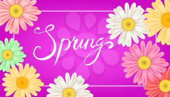 Spring banner. Hand drawn lettering. Background with chamomile, daisy
