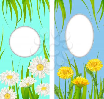 Set spring cards of floral flowers dandelions and daisies, chamomiles, grass backgrounds