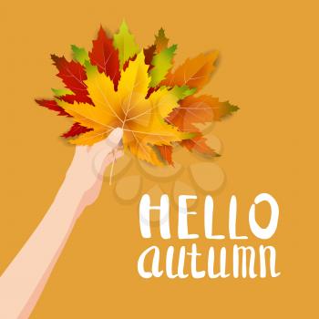 Hand hold autumn colorful leaves bright bouquet fall, floral. Hello Autumn lettering