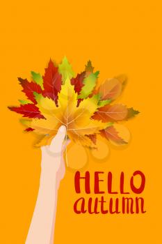 Hand hold autumn colorful leaves bright bouquet fall, floral. Hello Autumn lettering