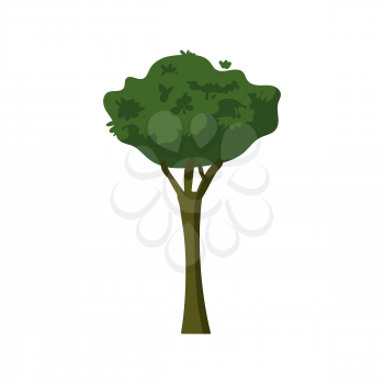 Green Tree, forest plant. Floral forest plant. Vector illustration isolated