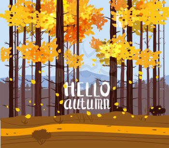 Autumn landscape park, forest with text Hello Autumn. Fall, trees in yellow orange foliage, alley, path. Vector background illustration, poster, isolated