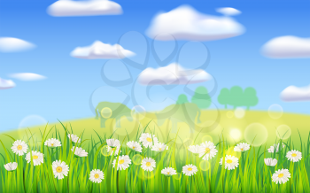 Spring landscape rural countryside, blooming daisies dandelions. Panorama springtime green fields, blue sky. Vector background illustration isolated cartoon style