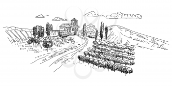 Vineyard hand drawn scetch. Landscape rural countryside France, Italy, Mediterranean vintage style