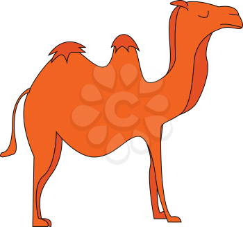 Vector illustration of an orange camel on white background.