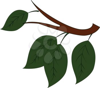 Four green leaves on brown branch vector illustration on white background 