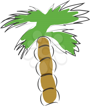 Palm tree vector illustration on white background 