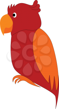 Red and orange parrot cartoon vector illustration on white background 