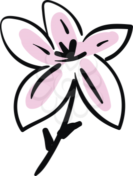 Simple sketch of a black and pink lily flower vector illustration on white background 