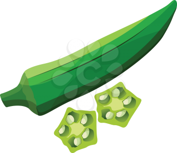 Green okra with light green okra slices vector illustration of vegetables on white background.