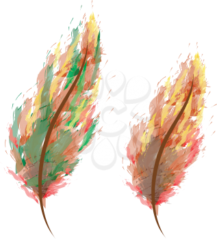 Water color painting of two beautiful feathers in shades of red yellow and green vector color drawing or illustration 