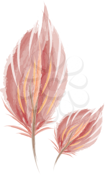 Water color paint of two pretty feather in brown color vector color drawing or illustration 