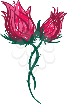 Two bright red roses vector color drawing or illustration 
