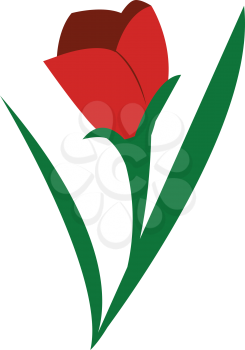 A red rose with green long leaves around it vector color drawing or illustration