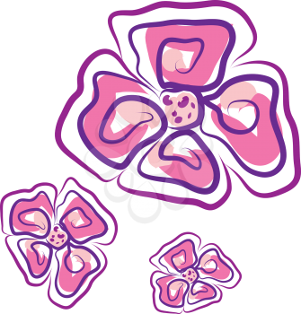 An image of three different flowers of pink color with four triangular petals on each vector color drawing or illustration