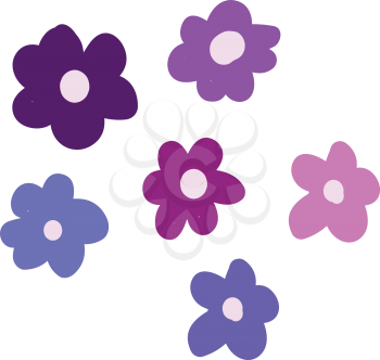 Various Bergenia of different colours vector color drawing or illustration