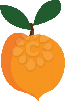 An image of a pulpy yellow mango with green leaves vector color drawing or illustration